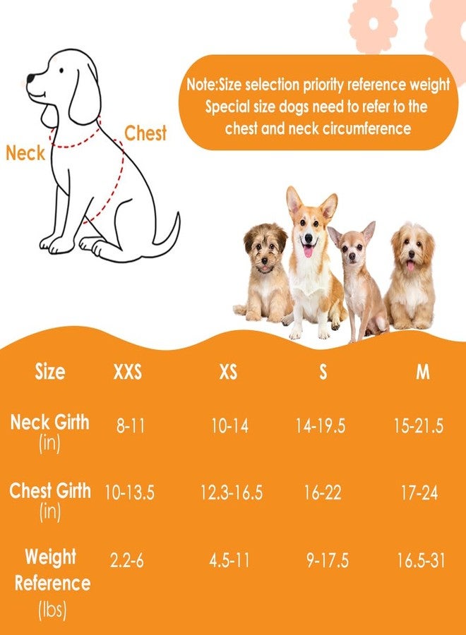 Lukovee No Pull Small Dog Harness with Leash - Lightweight Soft Puppy Vest Harnesses, Adjustable Pet Harnesses for Puppy Small Dogs (Green, XXS) - Image 4